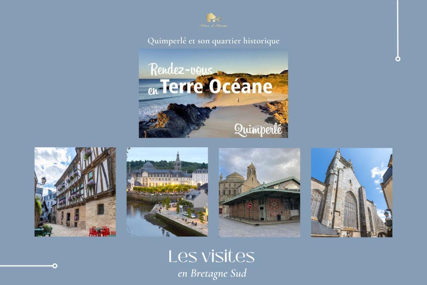 Le Belaven, Neuf, Cosy, Terrasse, Jardin, Kerfany Plage, 1 A 6 Pers Moëlan-sur-Mer Eksteriør billede