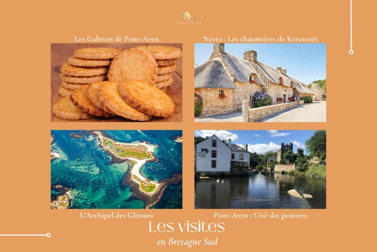 Le Belaven, Neuf, Cosy, Terrasse, Jardin, Kerfany Plage, 1 A 6 Pers Moëlan-sur-Mer Eksteriør billede